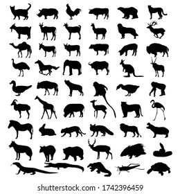 Zoo Animals Collection Vector Silhouette Stock Vector (Royalty Free ...