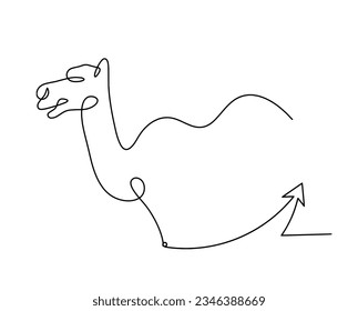 Silhouette of abstract camel with direction as line drawing on white. Vector