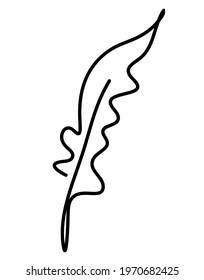 Silhouette of abstract feather as line drawing on white. Vector