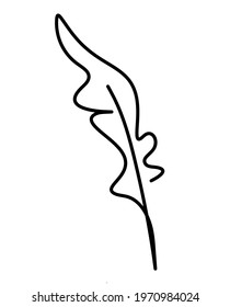 Silhouette of abstract feather as line drawing on white. Vector