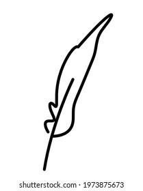 Silhouette of abstract feather as line drawing on white. Vector