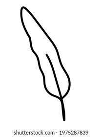 Silhouette of abstract feather as line drawing on white. Vector