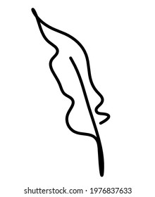 Silhouette of abstract feather as line drawing on white. Vector