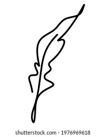 Silhouette of abstract feather as line drawing on white. Vector