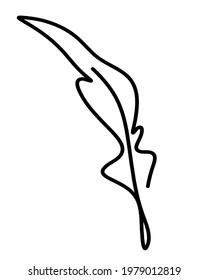 Silhouette of abstract feather as line drawing on white. Vector