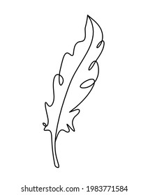 Silhouette of abstract feather as line drawing on white. Vector