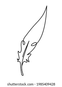 Silhouette of abstract feather as line drawing on white. Vector
