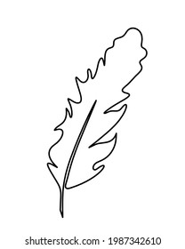 Silhouette of abstract feather as line drawing on white. Vector