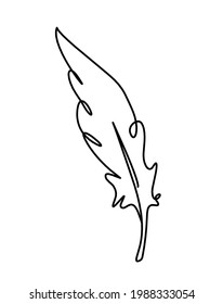 Silhouette of abstract feather as line drawing on white. Vector