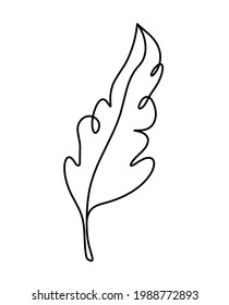 Silhouette of abstract feather as line drawing on white. Vector
