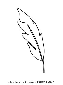 Silhouette of abstract feather as line drawing on white. Vector