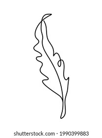 Silhouette of abstract feather as line drawing on white. Vector