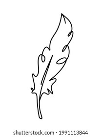 Silhouette of abstract feather as line drawing on white. Vector