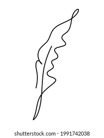 Silhouette of abstract feather as line drawing on white. Vector