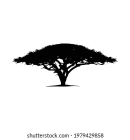 Silhouette of acacia wood-African savannah. Black silhouettes of African trees on white background. Acacia icons. Vector illustration.