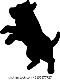 Silhouette of adorable and simple Pitbull jumping and playing