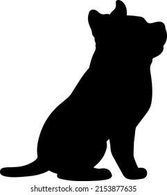 Silhouette of adorable and simple Pitbull sitting in side view