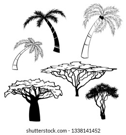 Silhouette of africa trees black on white background, vector illustration