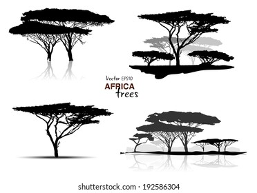 Silhouette of africa trees black on white background, vector illustration