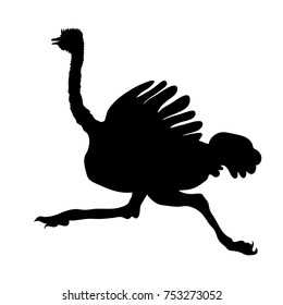 silhouette African bird ostrich is running vector illustration