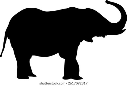 Silhouette of an African Elephant