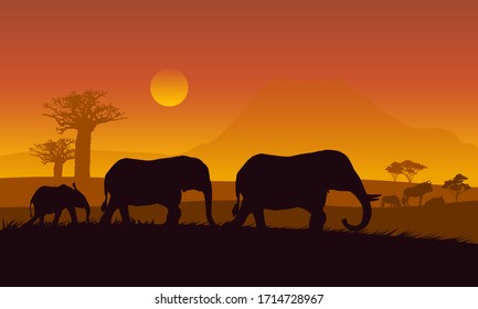 Silhouette African elephant walking landscape with safari, trees and family of elephants under orange sky with rising sun.Background vector.