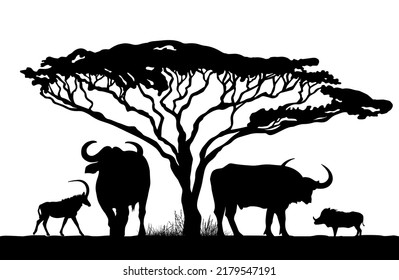 Silhouette Panorama africano y búfalos Ilustración vectorial