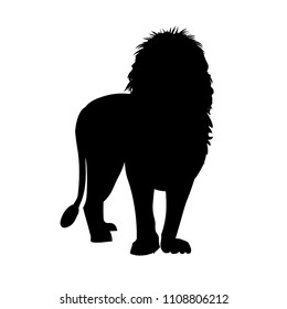 Silhouette of african lion standing in front. Vector illustration isolated on the white background