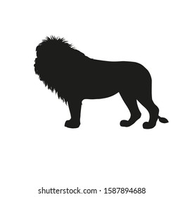 Silhouette of african lion standing side view. Vector illustration isolated on the white background