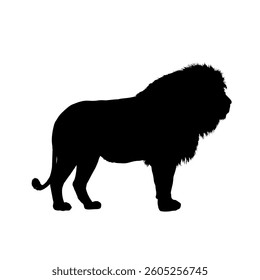 Silhouette of an African lion - vector illustration