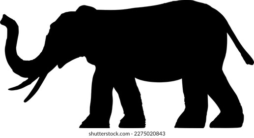 Silhouette: Afrikanischer Elefant von der Seite