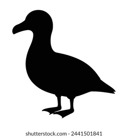 silhouette of  a albatross on white