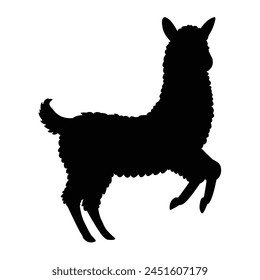 silhouette of a alpaca on white