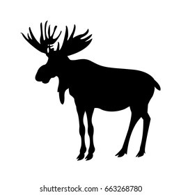 silhouette american elk animal forest wild life image