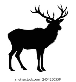 silhouette of American elk on white