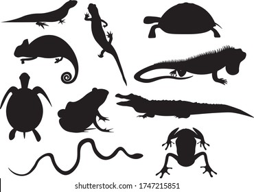 Silhouette of amphibians. Black and white illustrations. Snake, lizard, turtle, frog. Vector black and white icons.