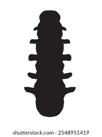 Silhouette Anatomy of normal human Disc. Illustration of Medical diagram about the spine in top view for check disc herniation. nucleus pulposus, annulus fibrosis.