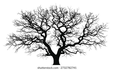 Silhouette of Ancient Tree Branches, Nature Landscape Black White Minimalism Abstract Art