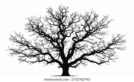 Silhouette of Ancient Tree Branches, Nature Landscape Black White Minimalism Abstract Art