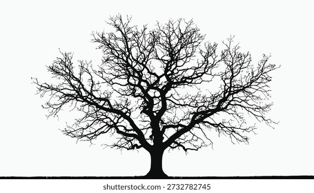 Silhouette of Ancient Tree Branches, Nature Landscape Black White Minimalism Abstract Art