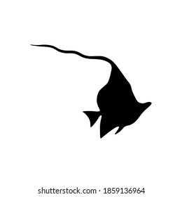 Silhouette angel fish on white background