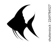 Silhouette of angelfish. Vector image of an angel fish