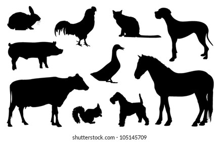 Download Squirrel Silhouette Images Stock Photos Vectors Shutterstock