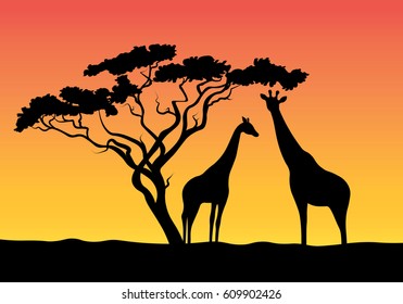 Silhouette Of An Animal