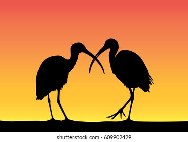 Silhouette of an animal
