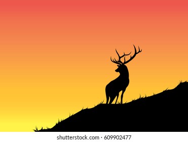 Silhouette of an animal