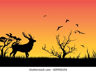 Silhouette of an animal