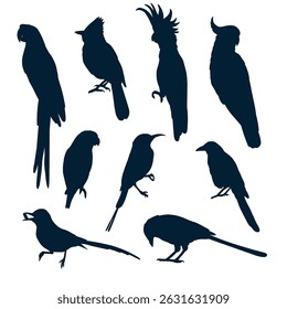 silhouette animal bird collection set black color