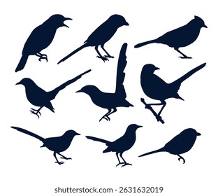 silhouette animal bird collection set