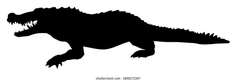 silhouette of an animal crocodile vector illustration
